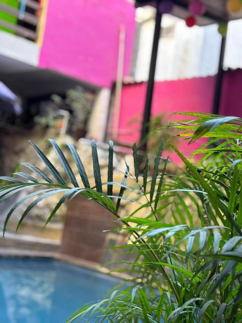 Playa Sayulita 호텔 외부 사진